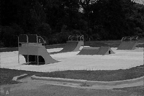 Auburn Skatepark