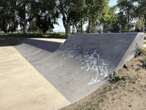 Barnum Skatepark - Denver, CO